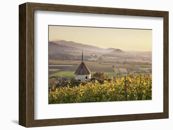 View over Ehrenstetten Oelbergkapelle Chapel to Staufen Castle-Markus Lange-Framed Photographic Print