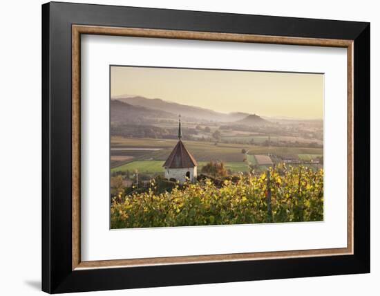 View over Ehrenstetten Oelbergkapelle Chapel to Staufen Castle-Markus Lange-Framed Photographic Print