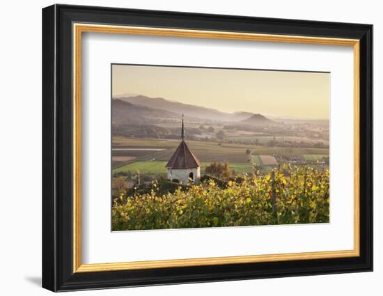 View over Ehrenstetten Oelbergkapelle Chapel to Staufen Castle-Markus Lange-Framed Photographic Print