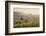 View over Ehrenstetten Oelbergkapelle Chapel to Staufen Castle-Markus Lange-Framed Photographic Print