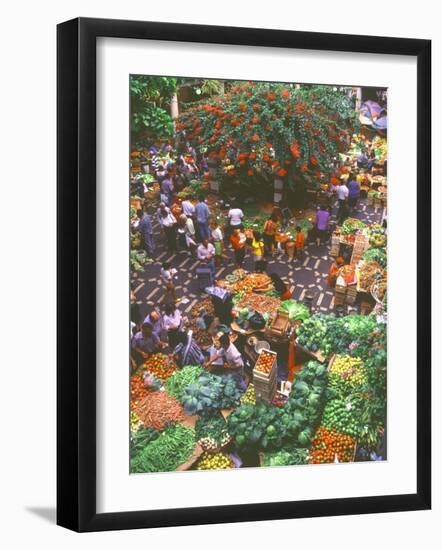 View over Fruit and Vegetable Market, Funchal, Madeira, Portugal, Europe-Sakis Papadopoulos-Framed Photographic Print