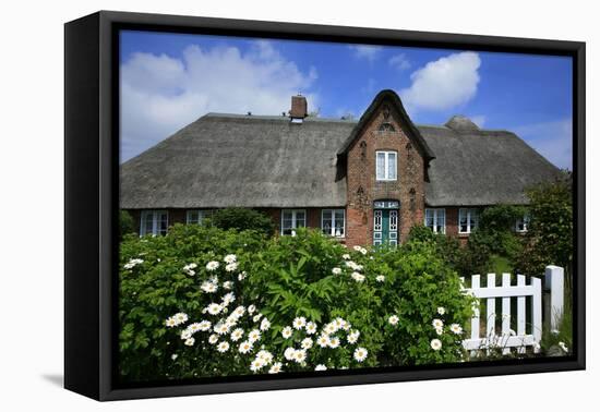 View over Garden Gate and Hedge with Flowering Oxeye Daisies-Uwe Steffens-Framed Premier Image Canvas