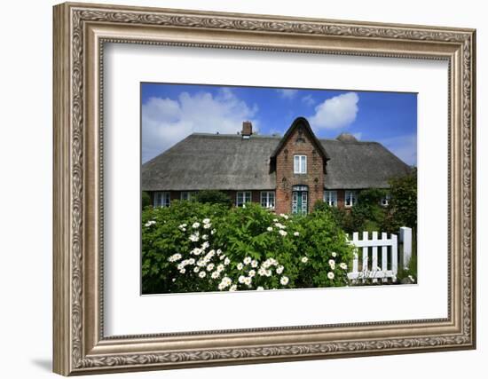 View over Garden Gate and Hedge with Flowering Oxeye Daisies-Uwe Steffens-Framed Photographic Print