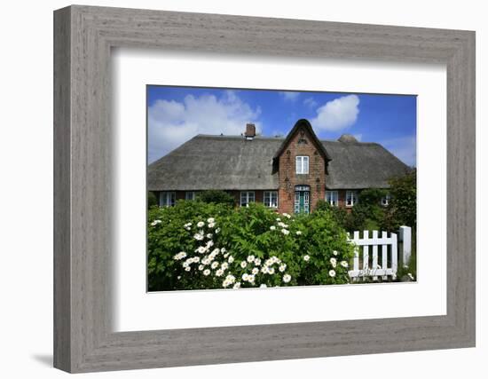 View over Garden Gate and Hedge with Flowering Oxeye Daisies-Uwe Steffens-Framed Photographic Print