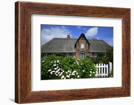 View over Garden Gate and Hedge with Flowering Oxeye Daisies-Uwe Steffens-Framed Photographic Print