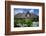 View over Garden Gate and Hedge with Flowering Oxeye Daisies-Uwe Steffens-Framed Photographic Print