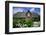 View over Garden Gate and Hedge with Flowering Oxeye Daisies-Uwe Steffens-Framed Photographic Print