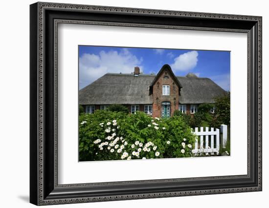 View over Garden Gate and Hedge with Flowering Oxeye Daisies-Uwe Steffens-Framed Photographic Print