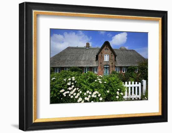 View over Garden Gate and Hedge with Flowering Oxeye Daisies-Uwe Steffens-Framed Photographic Print