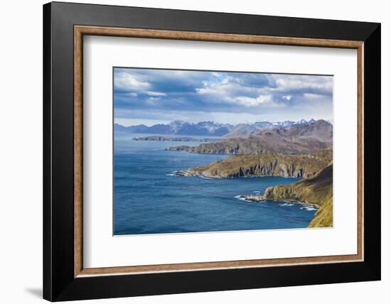 View over Godthul, South Georgia, Antarctica, Polar Regions-Michael Runkel-Framed Photographic Print