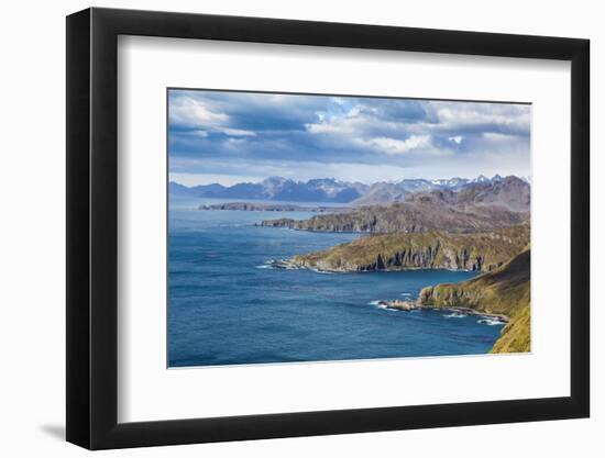 View over Godthul, South Georgia, Antarctica, Polar Regions-Michael Runkel-Framed Photographic Print