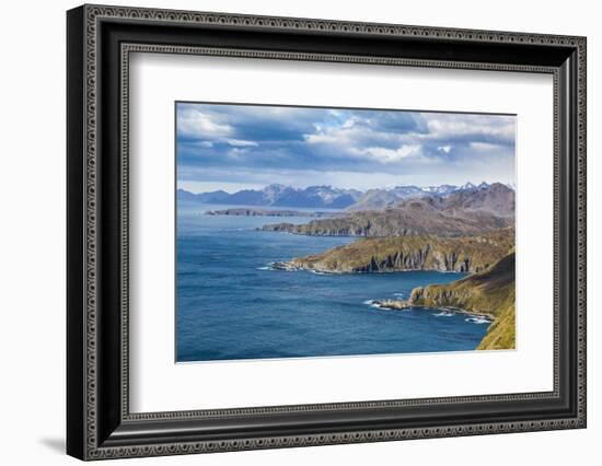 View over Godthul, South Georgia, Antarctica, Polar Regions-Michael Runkel-Framed Photographic Print