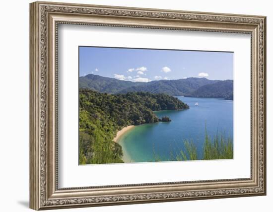 View over Governors Bay and Grove Arm, Queen Charlotte Sound (Marlborough Sounds), near Picton, Mar-Ruth Tomlinson-Framed Photographic Print