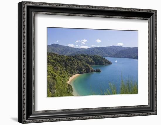 View over Governors Bay and Grove Arm, Queen Charlotte Sound (Marlborough Sounds), near Picton, Mar-Ruth Tomlinson-Framed Photographic Print