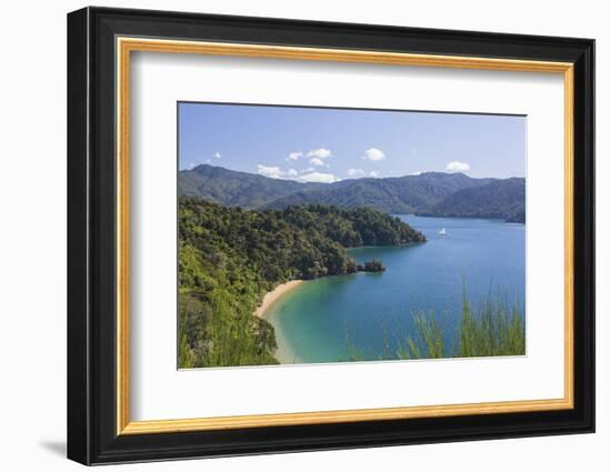 View over Governors Bay and Grove Arm, Queen Charlotte Sound (Marlborough Sounds), near Picton, Mar-Ruth Tomlinson-Framed Photographic Print