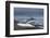 View over Half Moon Island, South Shetland Islands, Antarctica, Polar Regions-Michael Runkel-Framed Photographic Print