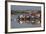 View over Harbour and Houses, Stocken, Orust, Bohuslan Coast, Southwest Sweden, Sweden, Europe-Stuart Black-Framed Photographic Print