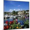 View over Harbour, Thonon-Les-Bains, Lake Geneva (Lac Leman), Rhone Alpes, France, Europe-Stuart Black-Mounted Photographic Print