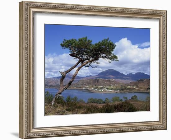 View over Lake and Hills, Loch Shieldaig, Shieldaig, Wester Ross, Highlands, Scotland, UK-Neale Clarke-Framed Photographic Print