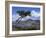 View over Lake and Hills, Loch Shieldaig, Shieldaig, Wester Ross, Highlands, Scotland, UK-Neale Clarke-Framed Photographic Print