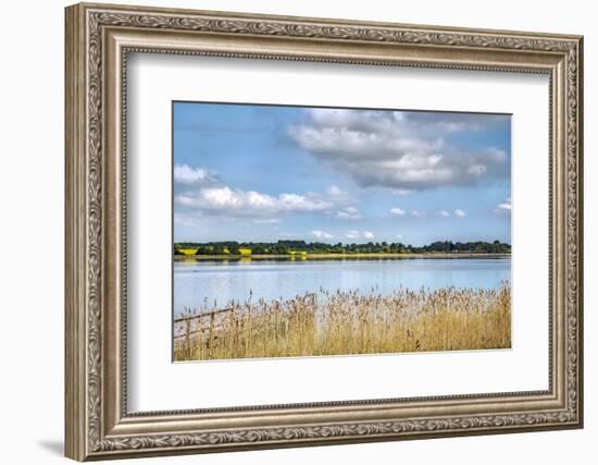 View over lake Pönitz, Scharbeutz, Baltic coast, Schleswig-Holstein, Germany-Sabine Lubenow-Framed Photographic Print