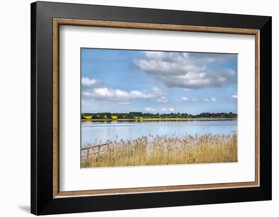 View over lake Pönitz, Scharbeutz, Baltic coast, Schleswig-Holstein, Germany-Sabine Lubenow-Framed Photographic Print