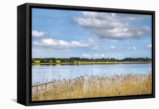 View over lake Pönitz, Scharbeutz, Baltic coast, Schleswig-Holstein, Germany-Sabine Lubenow-Framed Premier Image Canvas