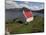 View Over Loch Torridon, Highlands, Scotland, United Kingdom-Steve & Ann Toon-Mounted Photographic Print