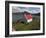 View Over Loch Torridon, Highlands, Scotland, United Kingdom-Steve & Ann Toon-Framed Photographic Print