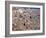 View over Modica, Sicily, Italy-Demetrio Carrasco-Framed Photographic Print