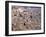 View over Modica, Sicily, Italy-Demetrio Carrasco-Framed Photographic Print