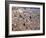 View over Modica, Sicily, Italy-Demetrio Carrasco-Framed Photographic Print