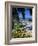 View over Montego Bay, Jamaica-Doug Pearson-Framed Photographic Print