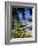 View over Montego Bay, Jamaica-Doug Pearson-Framed Photographic Print