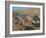 View Over Nabatean Tombs, Petra, Unesco World Heritage Site, Jordan, Middle East-Alison Wright-Framed Photographic Print