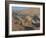 View Over Nabatean Tombs, Petra, Unesco World Heritage Site, Jordan, Middle East-Alison Wright-Framed Photographic Print