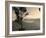 View over Quito, Ecuador-John Coletti-Framed Photographic Print