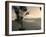 View over Quito, Ecuador-John Coletti-Framed Photographic Print