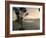 View over Quito, Ecuador-John Coletti-Framed Photographic Print