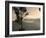 View over Quito, Ecuador-John Coletti-Framed Photographic Print