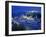 View over Salzburg, Austria-Gavin Hellier-Framed Photographic Print