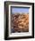 View Over Silent City from Sunset Point, Bryce Canyon National Park, Utah, USA-Tony Gervis-Framed Photographic Print