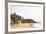 View over South Anjuna Beach, Goa, India, Asia-Yadid Levy-Framed Photographic Print