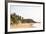 View over South Anjuna Beach, Goa, India, Asia-Yadid Levy-Framed Photographic Print