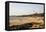 View over South Anjuna Beach, Goa, India, Asia-Yadid Levy-Framed Premier Image Canvas