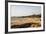 View over South Anjuna Beach, Goa, India, Asia-Yadid Levy-Framed Photographic Print