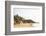 View over South Anjuna Beach, Goa, India, Asia-Yadid Levy-Framed Photographic Print