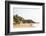 View over South Anjuna Beach, Goa, India, Asia-Yadid Levy-Framed Photographic Print