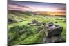 View over Stanage Edge Millstones at Sunrise, Peak District National Park, Derbyshire-Andrew Sproule-Mounted Photographic Print