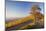 View over Stuttgart with the Tomb Chapel, Vineyards at Sundown in Autumn, Germany-Markus Lange-Mounted Photographic Print